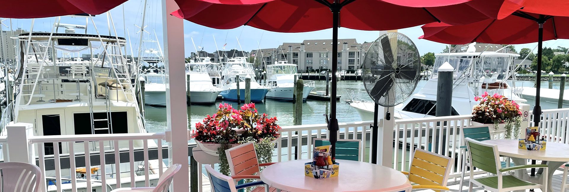 Rudee's outdoor view of the deck and boats with a fan and flowers on a gorgeous blue sky day